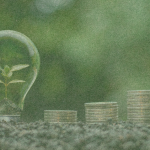 A plant in a lightbulb with stacks of coins on a green background