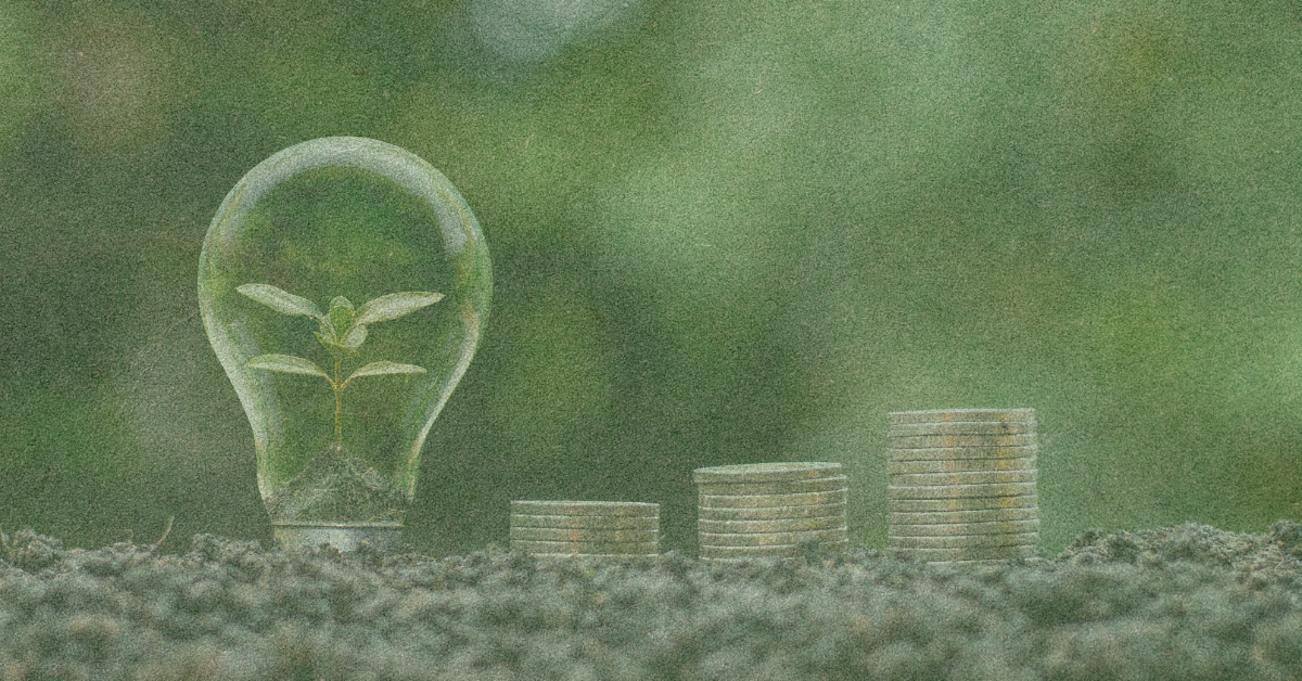 A plant in a lightbulb with stacks of coins on a green background