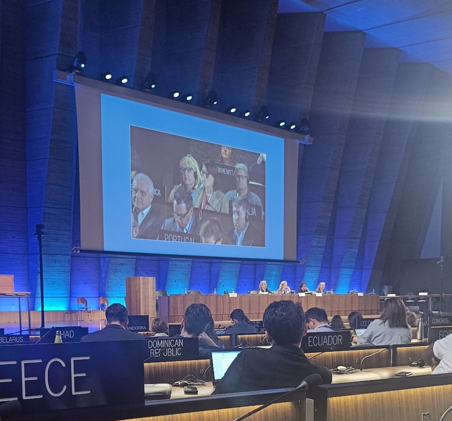 A large conference room with representatives from various countries sitting behind desks and a panel on stage.